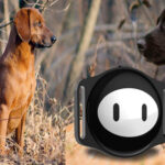 Unveiling the Benefits of Dog GPS Trackers